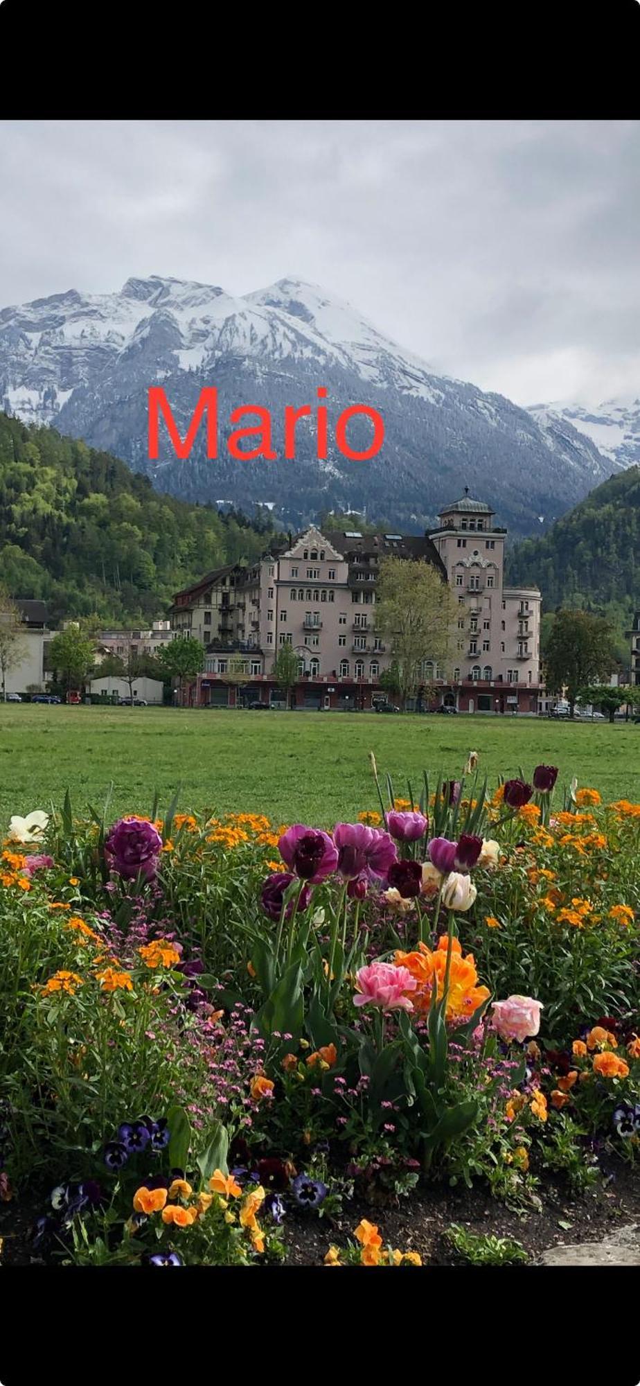 Apartment By Mario Interlaken Bagian luar foto